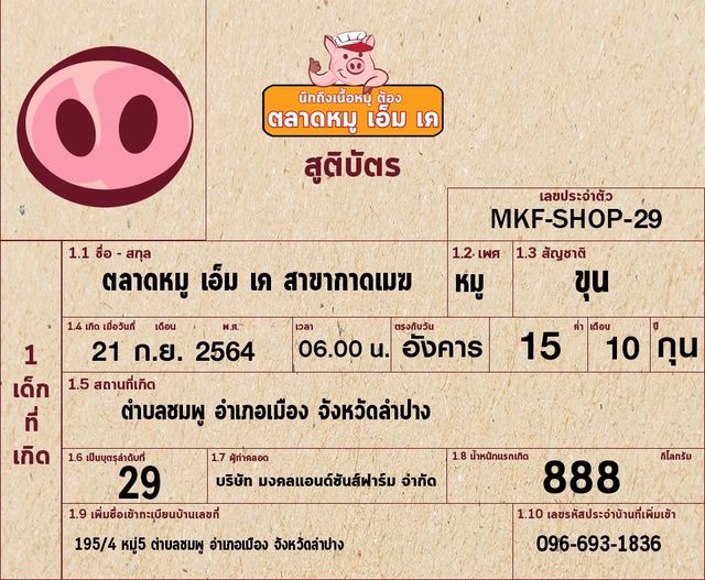 ลำปางจ๋า หมูเอ็มเคมาแล้ว