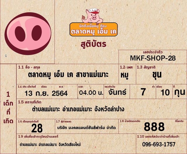 ลำปางจ๋า หมูเอ็มเคมาแล้ว