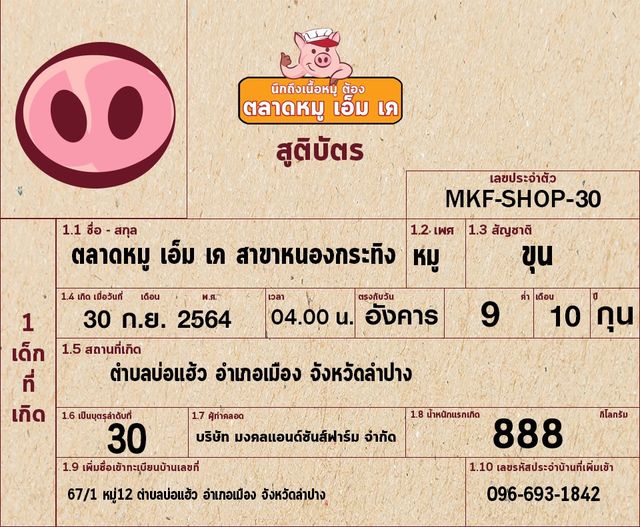 ลำปางจ๋า หมูเอ็มเคมาแล้ว