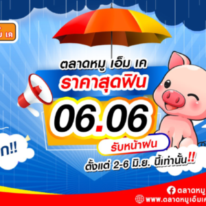 ส่งโปรสุดฟิน รับครึ่งปีหลัง  Flash sale 6.6